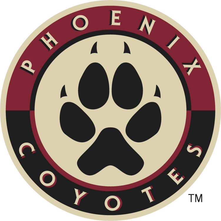 Phoenix Coyotes 2008-2014 Alternate Logo t shirts iron on transfers